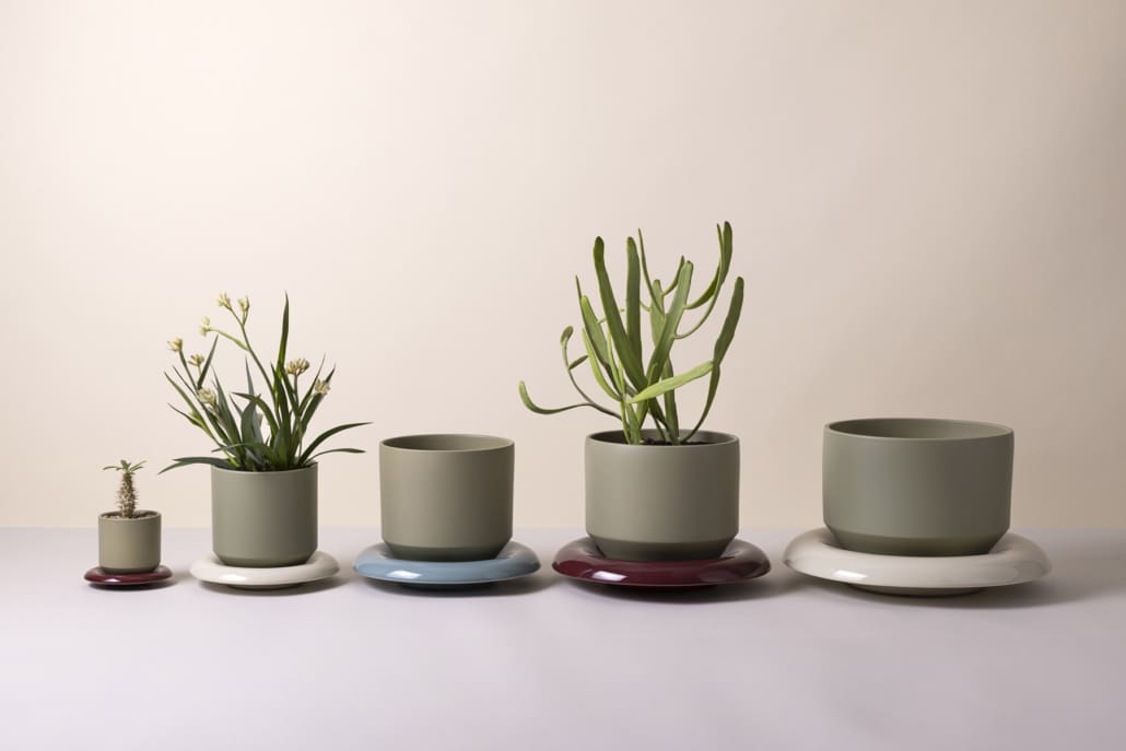 Lily Pot