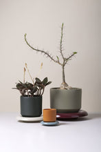 Load image into Gallery viewer, Lily Pot

