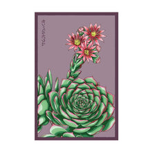 Load image into Gallery viewer, Shido Seeds Packet
