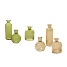 Load image into Gallery viewer, Carlotta Bud Vase
