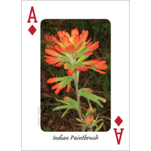 Load image into Gallery viewer, Wildflowers of Northeast Playing Cards
