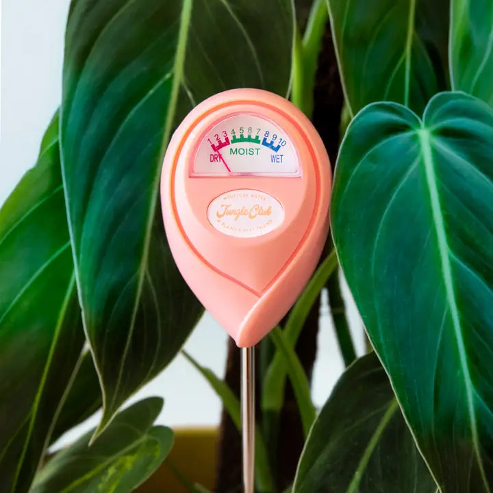 Moisture Meter – Geometry Garden & Floral Shop