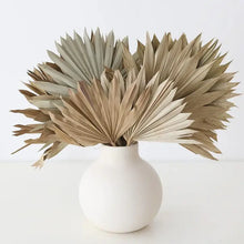 Load image into Gallery viewer, Dried Sun Palms
