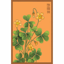 Load image into Gallery viewer, Shido Seeds Packet
