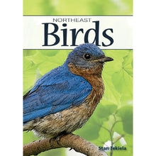 Load image into Gallery viewer, Birds of Northeast Playing Cards
