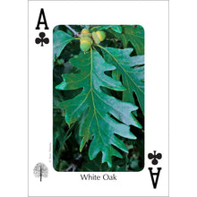 Load image into Gallery viewer, Trees of Northeast Playing Cards
