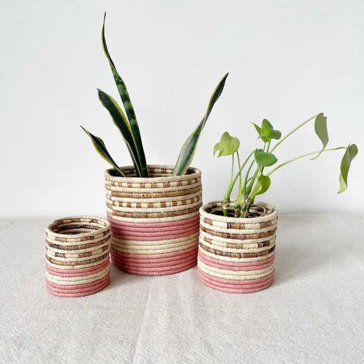 Arabuko Basket Planter