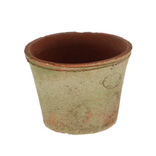 Load image into Gallery viewer, Aged Terracotta Round Flower Pot
