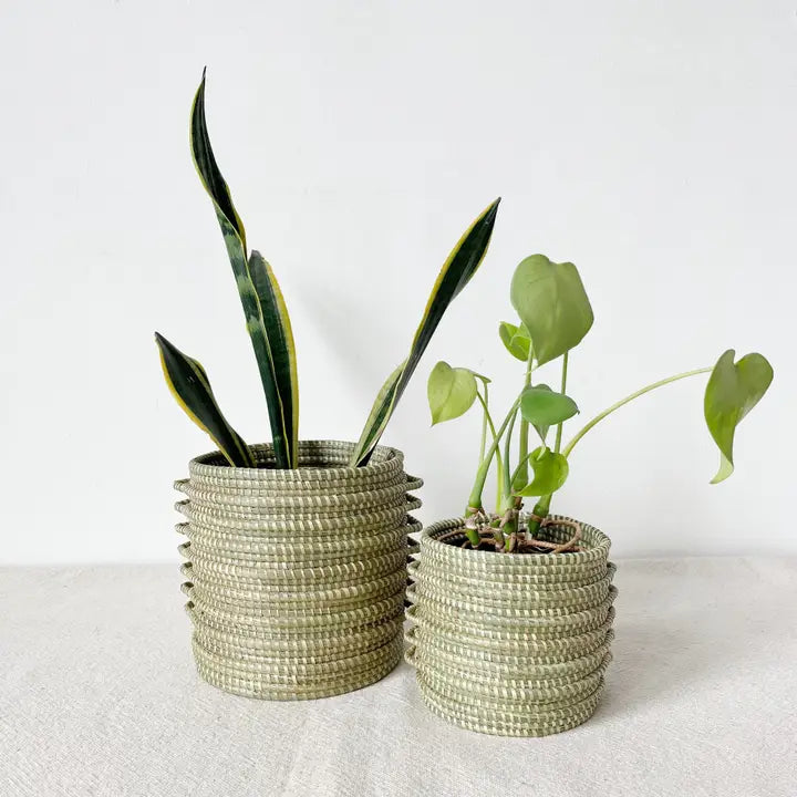 Kupanua Sweet Grass Basket