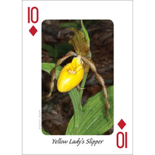 Load image into Gallery viewer, Wildflowers of Northeast Playing Cards
