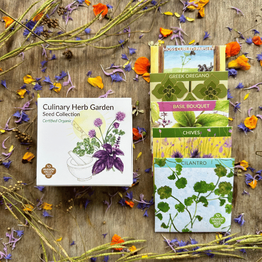 Culinary Herbs Seed Collection