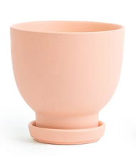 Load image into Gallery viewer, Plant Junkie Pot
