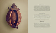 Load image into Gallery viewer, The Hidden Beauty of Seeds &amp; Fruits
