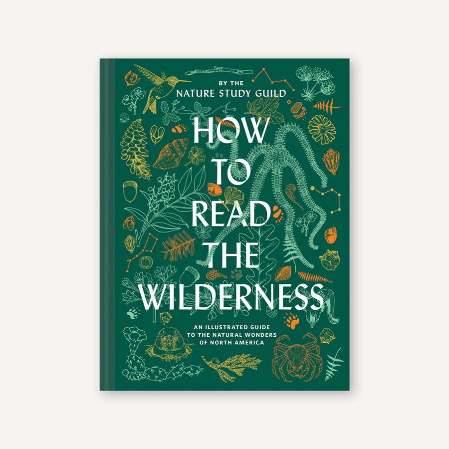 How to Read the Wilderness