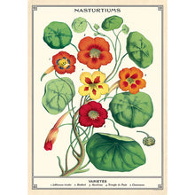 Load image into Gallery viewer, Vintage Posters
