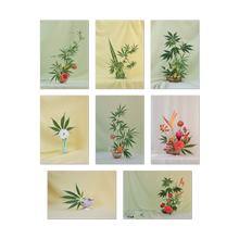 Load image into Gallery viewer, Weed Ikebana Postcard Print Set

