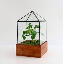 Load image into Gallery viewer, Little House Terrarium
