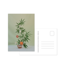 Load image into Gallery viewer, Weed Ikebana Postcard Print Set
