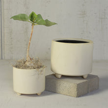 Load image into Gallery viewer, Simon Footed Ceramic Planter
