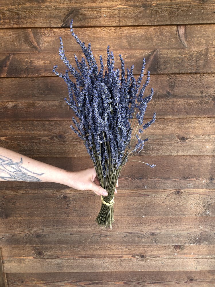 Dried French Lavender