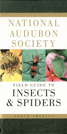 Field Guide to Insects and Spiders