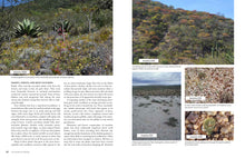 Load image into Gallery viewer, The Timber Press Guide to Succulent Plants of the World
