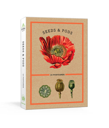 Seeds and Pods Postcards