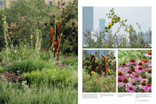Load image into Gallery viewer, Gardens of the High Line
