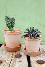 Load image into Gallery viewer, Helena Pot + Saucer
