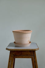 Load image into Gallery viewer, Parade Pot + Saucer
