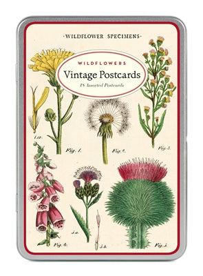 Wildflower Postcards