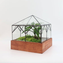 Load image into Gallery viewer, Cottage Terrarium
