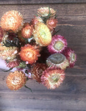 Load image into Gallery viewer, Dried Strawflower
