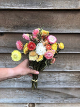 Load image into Gallery viewer, Dried Strawflower

