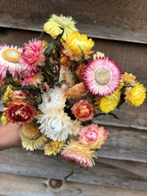 Load image into Gallery viewer, Dried Strawflower
