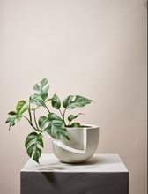Load image into Gallery viewer, Vayu Tabletop Planter

