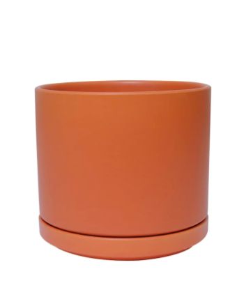 Ceramic Cylinder with Saucer