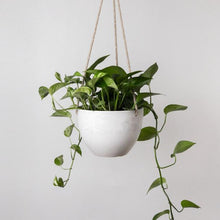 Load image into Gallery viewer, Cloud Hanging Planter
