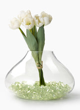 Load image into Gallery viewer, 12&quot; Terrarium Glass Vase
