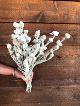 Load image into Gallery viewer, Dried Woolly Cotton Ball
