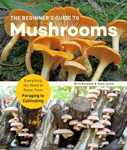 The Beginner’s Guide to Mushrooms