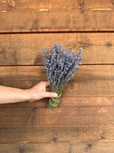 Load image into Gallery viewer, Dried Arctic English Lavender
