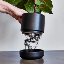 Load image into Gallery viewer, The Franklin Self Watering Planter
