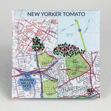 Load image into Gallery viewer, Hudson Valley Seeds

