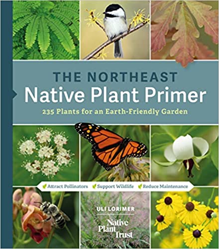 Northeast Native Plant Primer