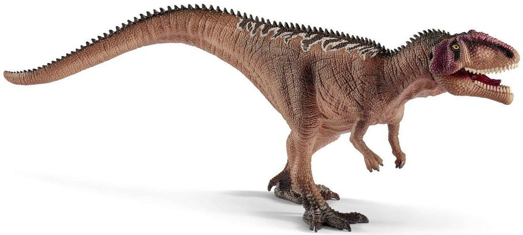Giganotosaurus Juvenile